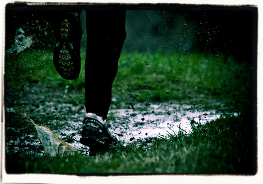 Trail