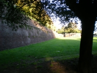 Maratona di Lucca
