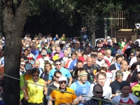 Maratona di Roma
