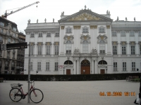 Maratona Di Vienna
