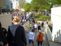 Maratona Di Vienna
