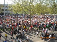 Maratona Di Vienna

