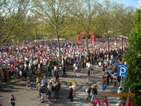 Maratona Di Vienna
