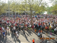 Maratona Di Vienna
