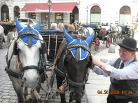 Maratona Di Vienna
