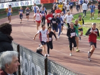 Corsa di Miguel
