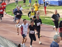 Corsa di Miguel
