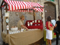 Orte (VT) - Trofeo delle 7 Contrade 2009
