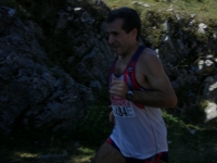 Speata
