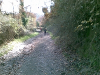 Trail dei Due Laghi
