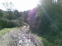 Trail dei Due Laghi
