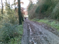 Trail dei Due Laghi
