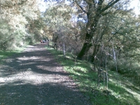 Trail dei Due Laghi
