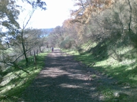 Trail dei Due Laghi
