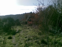 Trail dei Due Laghi
