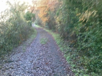 Trail dei Due Laghi
