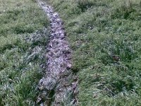 Trail dei Due Laghi
