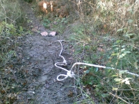Trail dei Due Laghi
