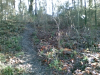 Trail dei Due Laghi
