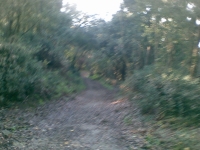 Trail dei Due Laghi
