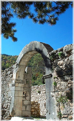 Angizia