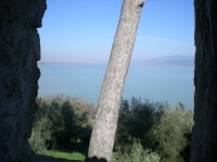 Strasimeno 2009
